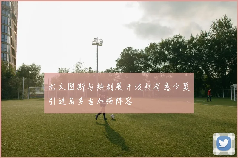 尤文图斯与热刺展开谈判有意今夏引进乌多吉加强阵容